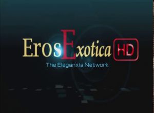  секс влюбленных в номере